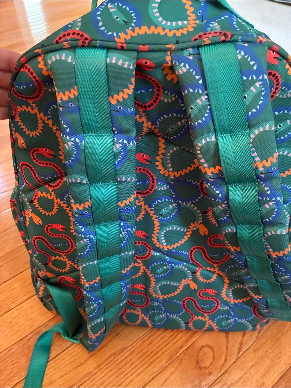 Crate&Barrel Teal w/snakes Backpack and Lunch Bag Set with Coral and Blue Accent